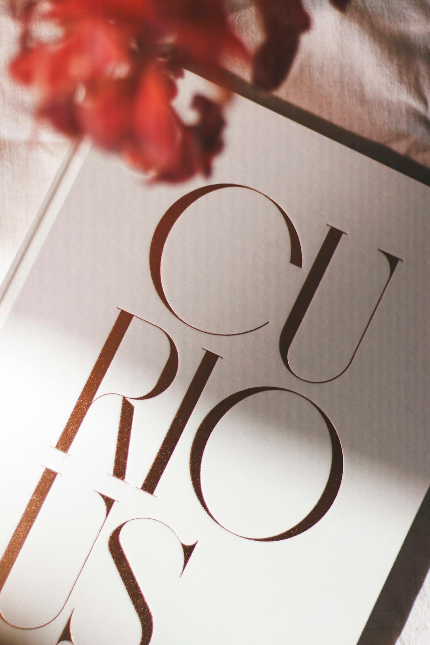 The word “curious” in large serif letters on a printed cover, red flowers at its corner
